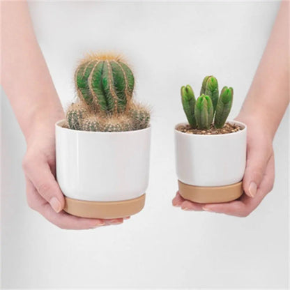 ROOTMIND Intelligent Self-watering Pot