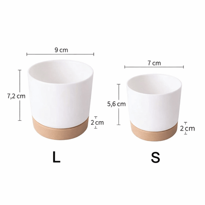 ROOTMIND Intelligent Self-watering Pot