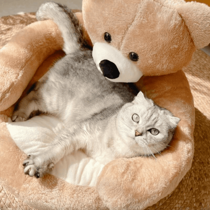 DreamWhisk Cat Bed Cozy Cat Bed