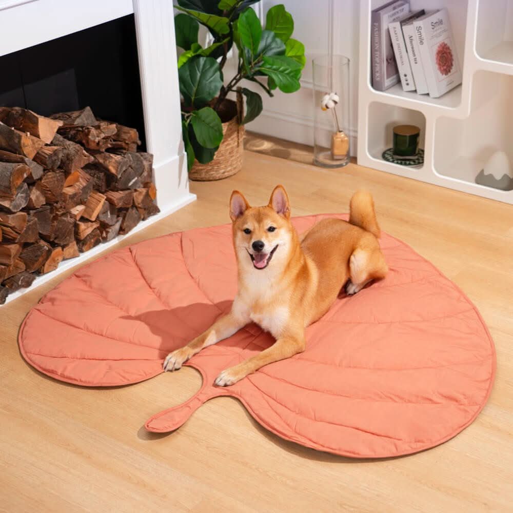LeafPaws Blanket Dog Blanket lifestyle image 3