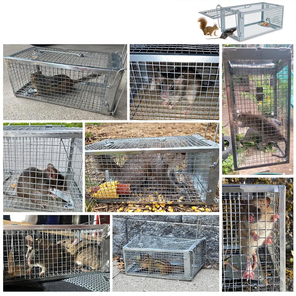 LIVERELEASE Humane Cage Trap