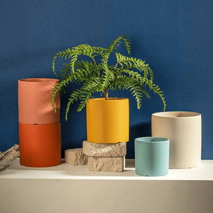 PLANTIVA Ceramic Flowerpot