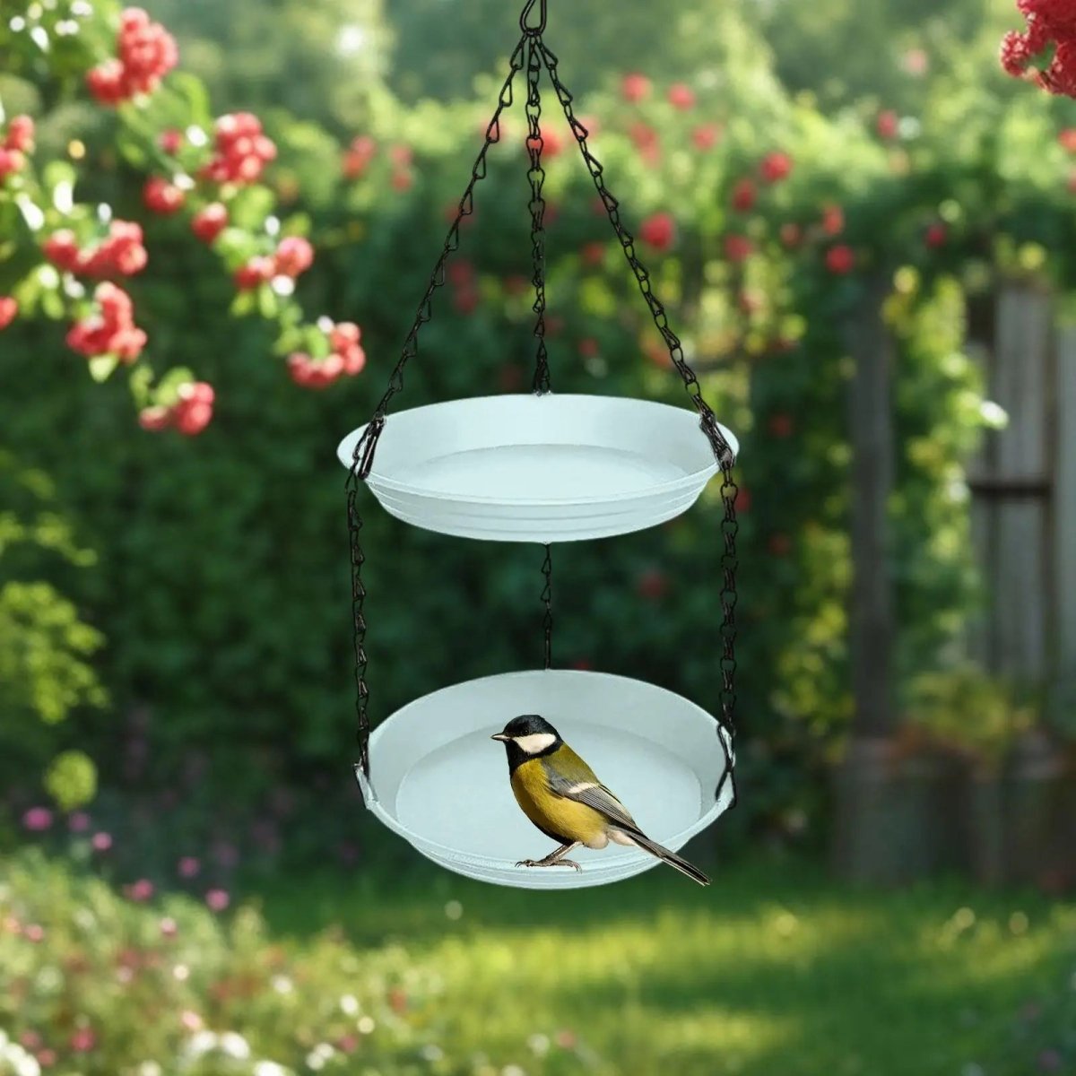 CHAINNEST Hanging Bird Feeder