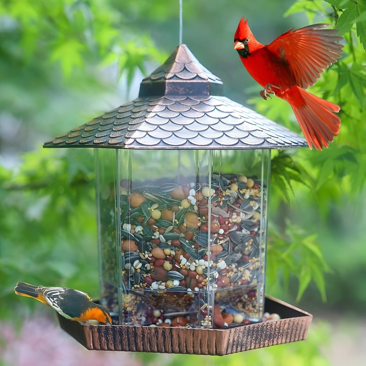 COPPERSHADE Bird Feeder