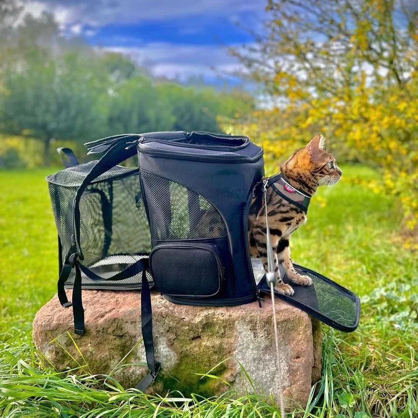 PAWSPHERE Cat Backpack