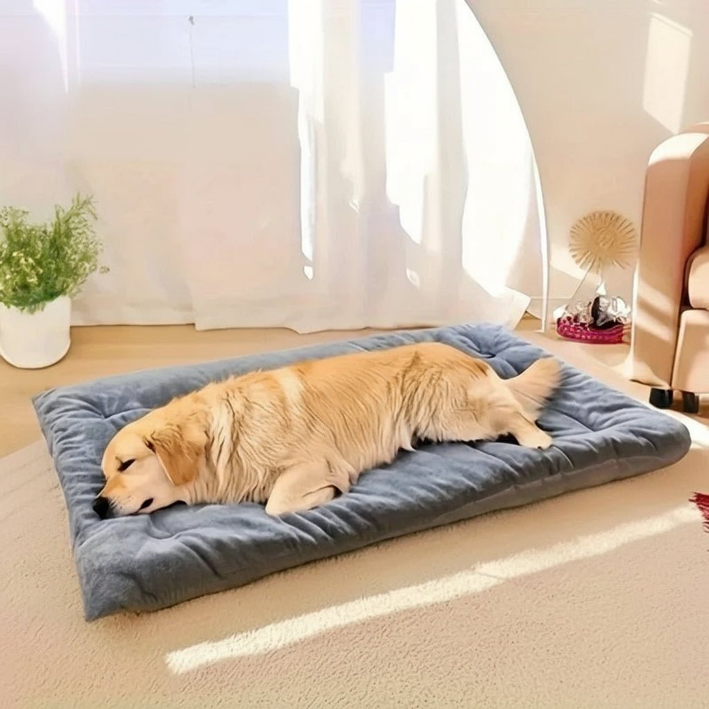 NIMBLESLEEP Fluffy Dog Bed