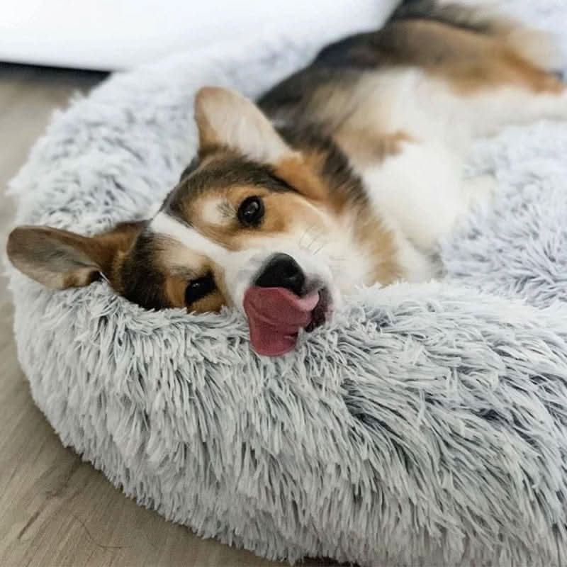 CALMVIA Soothing Faux Fur Dog Bed