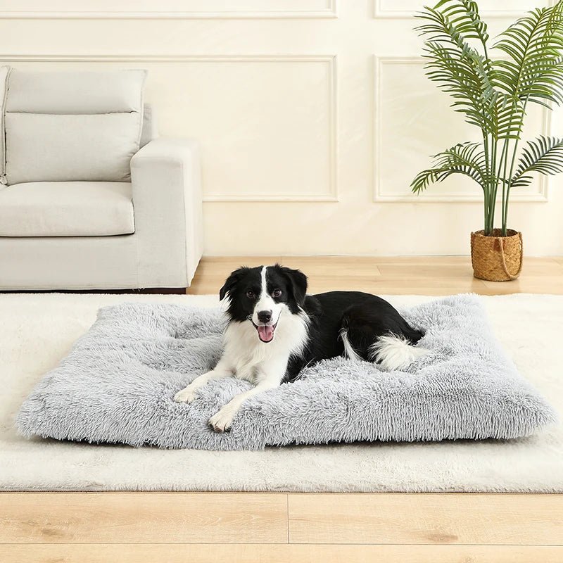 FURLOUNGE Plush Cushion Bed & Cat Pad