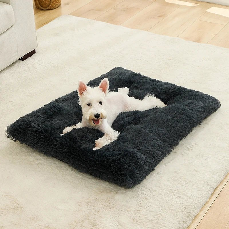 FURLOUNGE Plush Cushion Bed & Cat Pad