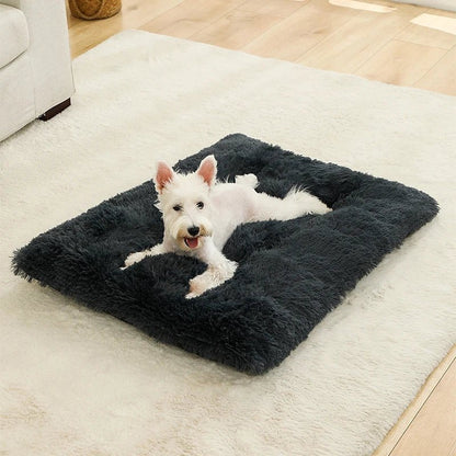 FURLOUNGE Plush Cushion Bed & Cat Pad