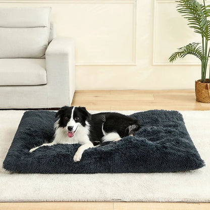 FURLOUNGE Plush Cushion Bed & Cat Pad
