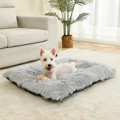 FURLOUNGE Plush Cushion Bed & Cat Pad