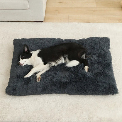 FURLOUNGE Plush Cushion Bed & Cat Pad
