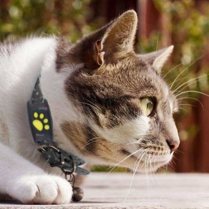 CAT GPS Tracker Real-time
