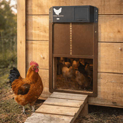 AUTOCOOP Automatic Chicken Coop Door