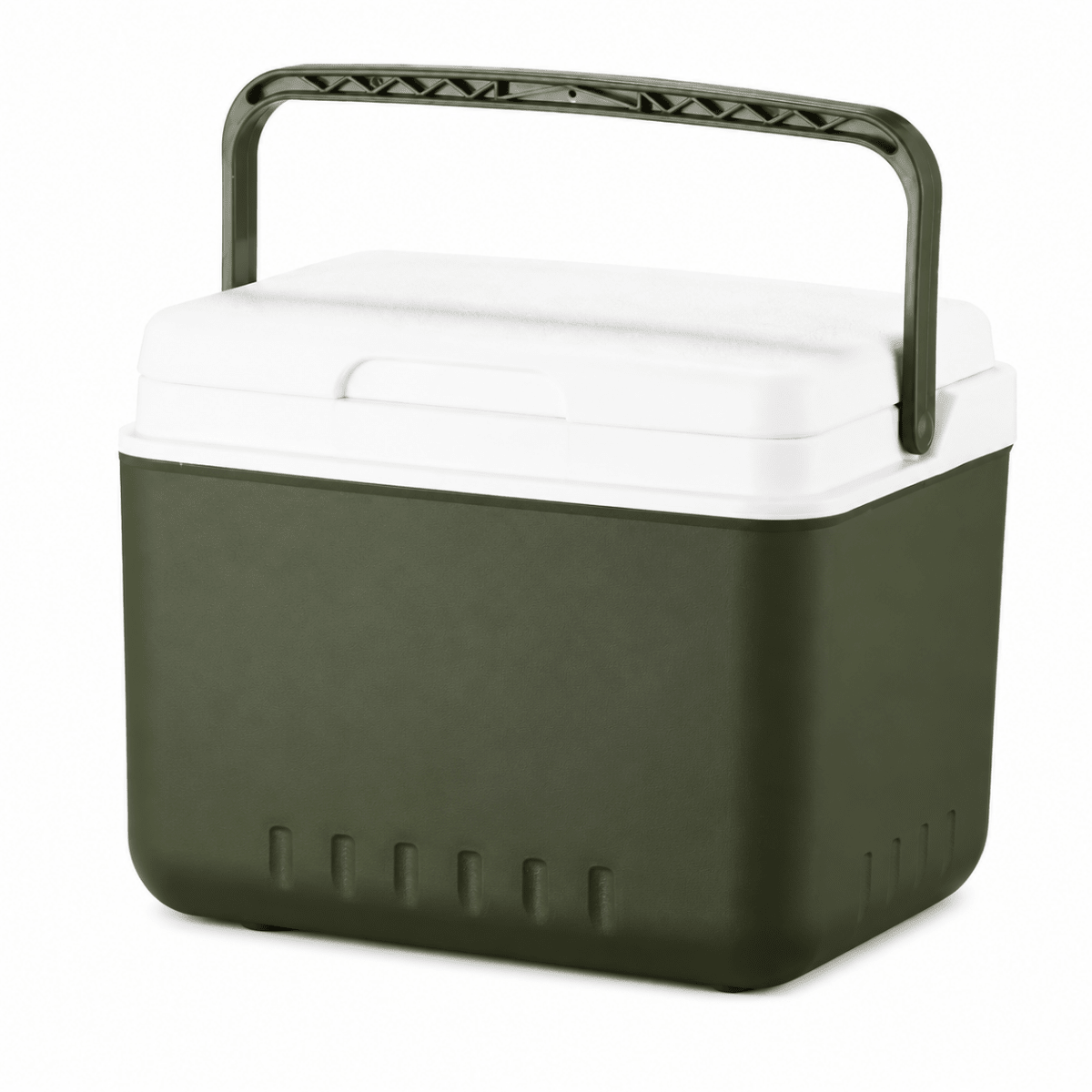 THERMOGO Portable Cooler