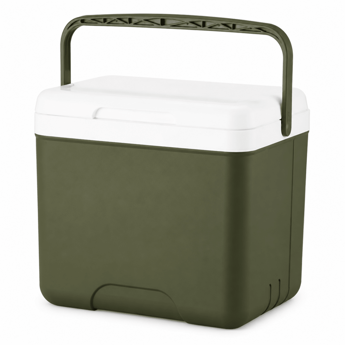 THERMOGO Portable Cooler