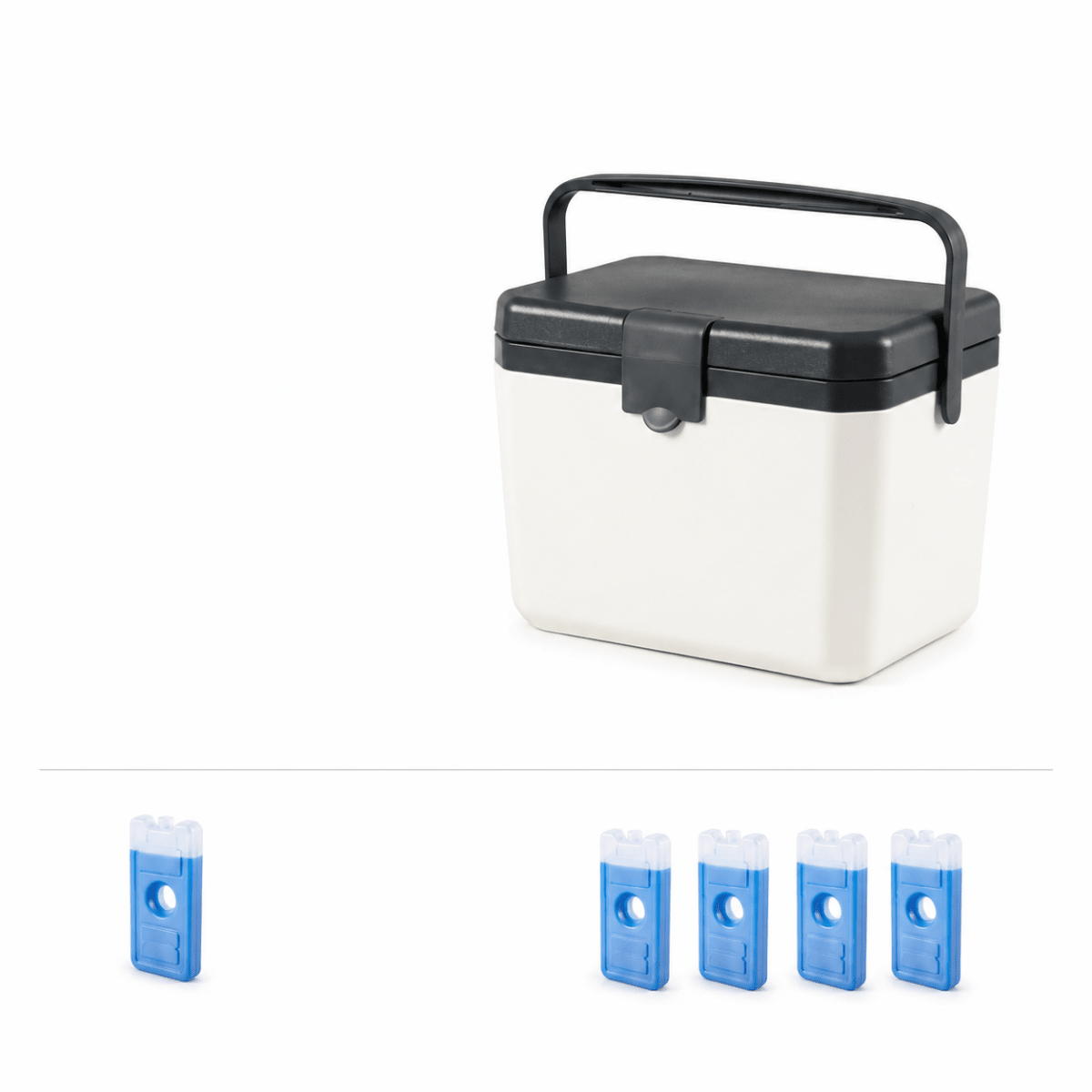 ARCTICTREK Insulated Cooler