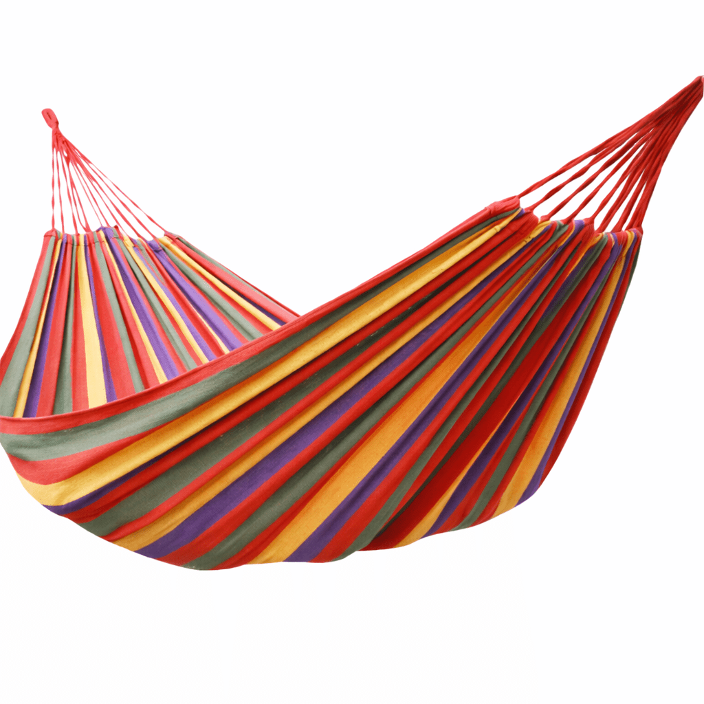 PORTAHANG Portable Canvas Hanging Chair