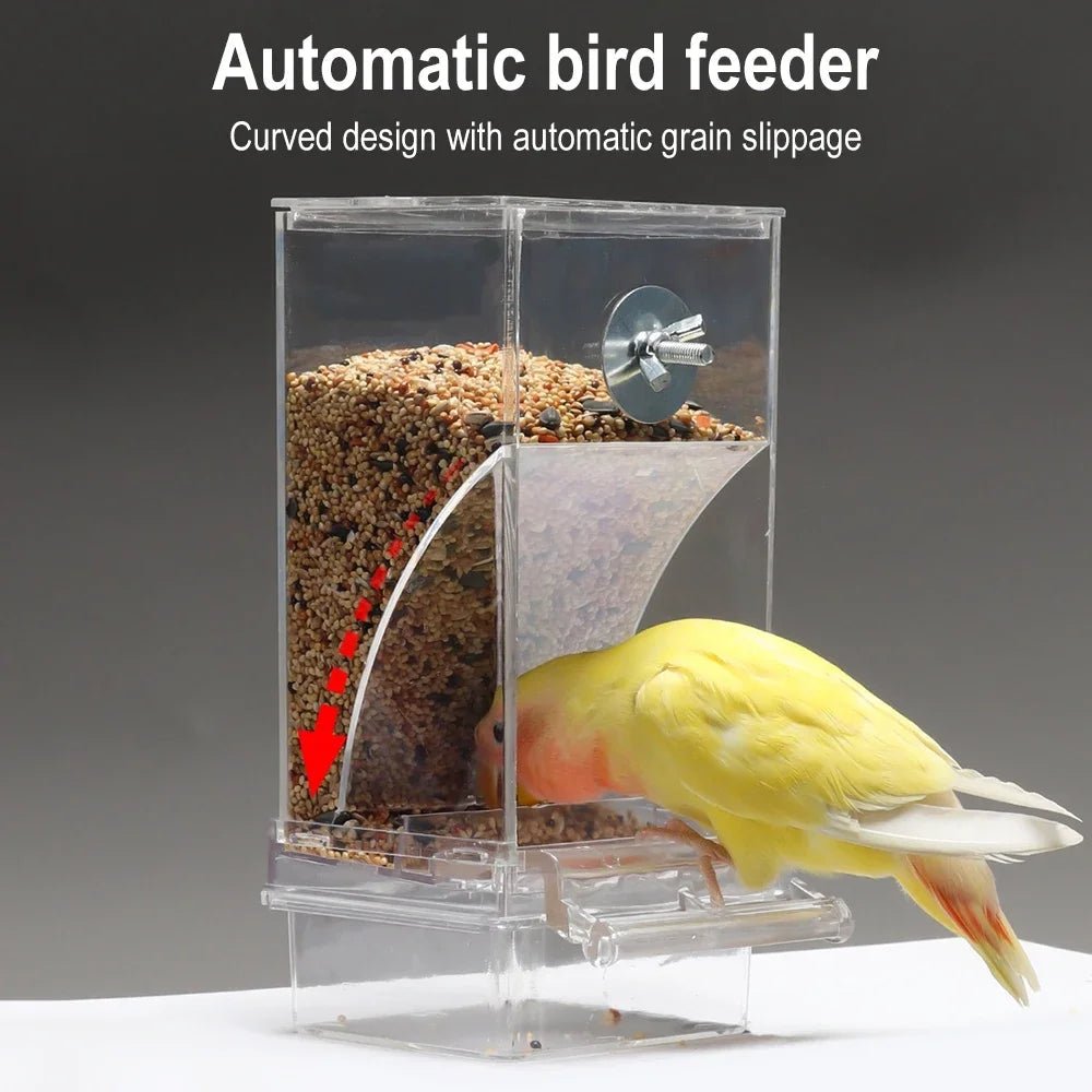 SPILLNEST Automatic Bird Feeder