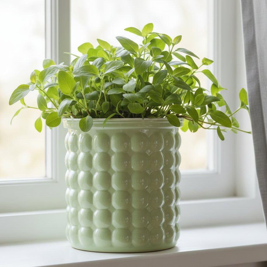 HYDROZEN Environmentally Friendly Water Culture Flowerpot
