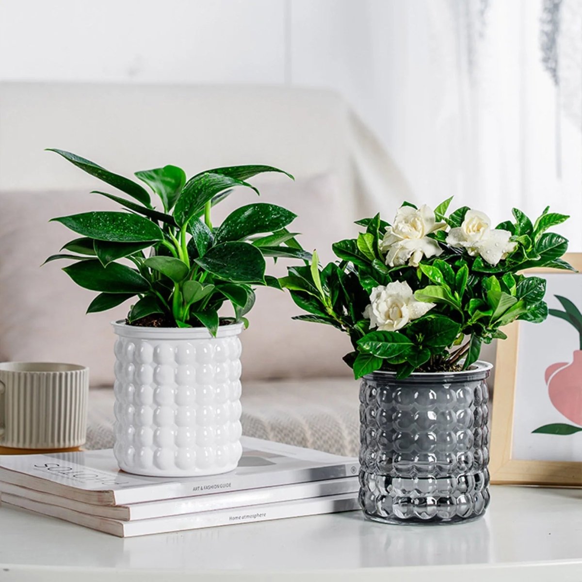 HYDROZEN Environmentally Friendly Water Culture Flowerpot