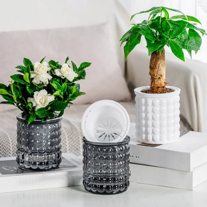 HYDROZEN Environmentally Friendly Water Culture Flowerpot