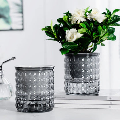 HYDROZEN Environmentally Friendly Water Culture Flowerpot