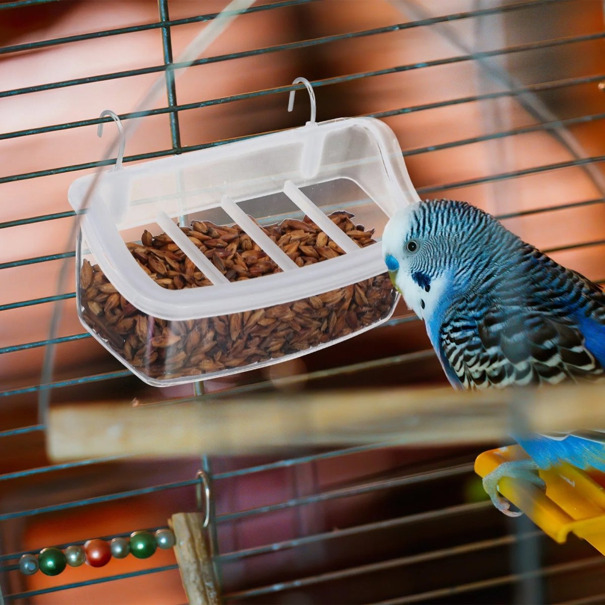 PARROTVIEW Ecological Parrot Feeder