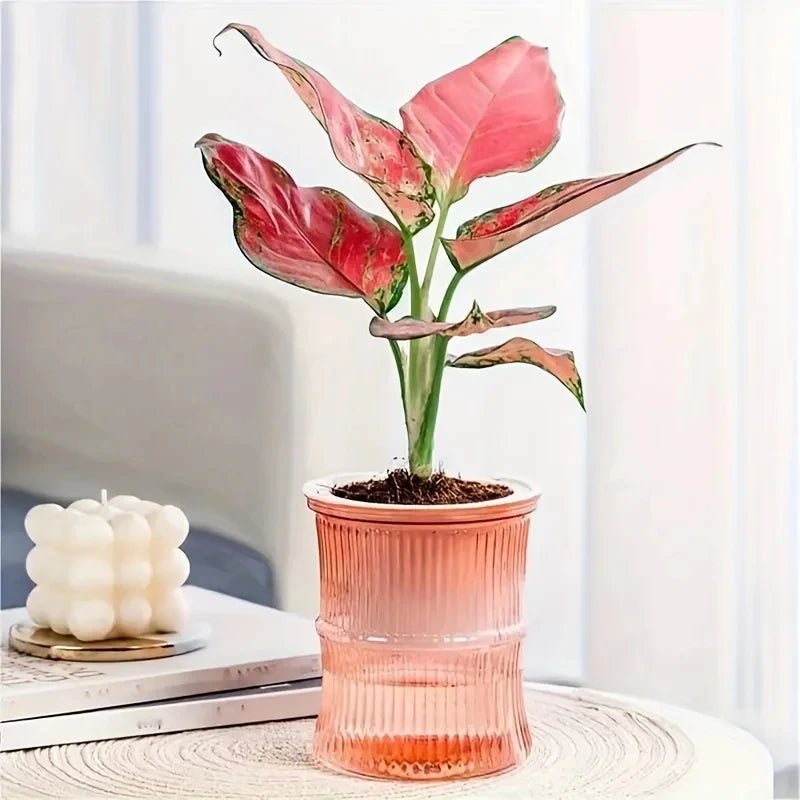 GREENCORE Sustainable Self-watering Indoor Pot