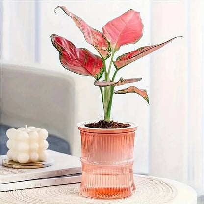 GREENCORE Sustainable Self-watering Indoor Pot