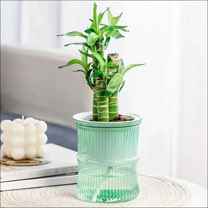 GREENCORE Sustainable Self-watering Indoor Pot