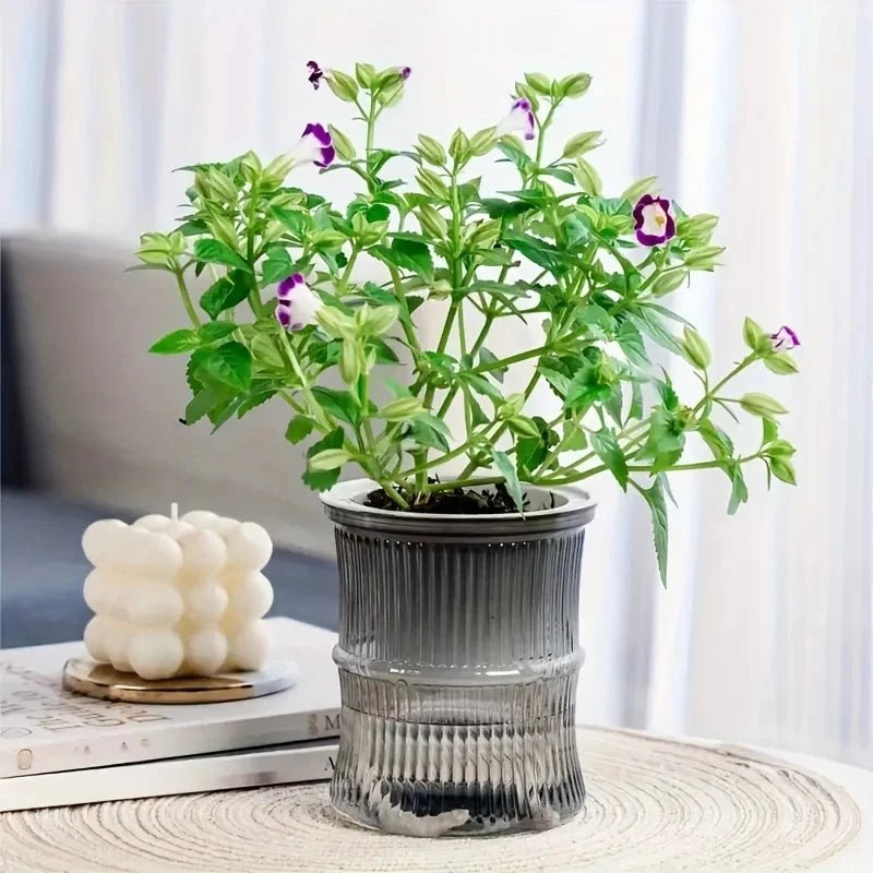GREENCORE Sustainable Self-watering Indoor Pot