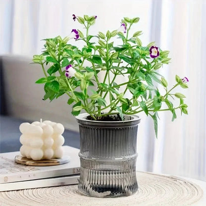 GREENCORE Sustainable Self-watering Indoor Pot