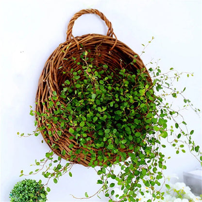 BASKORA Willow Basket