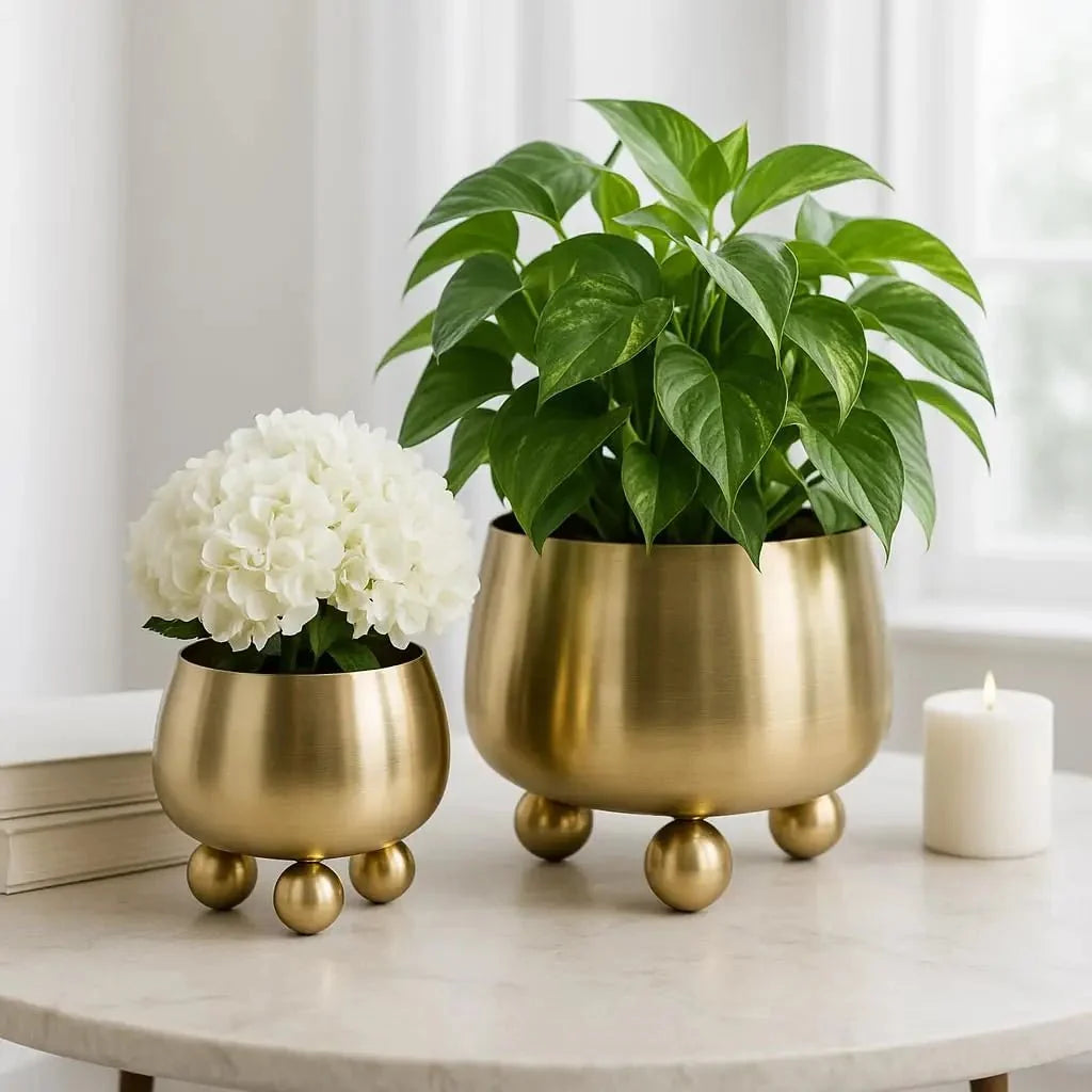 BLACKFLOW Plant Pot Design