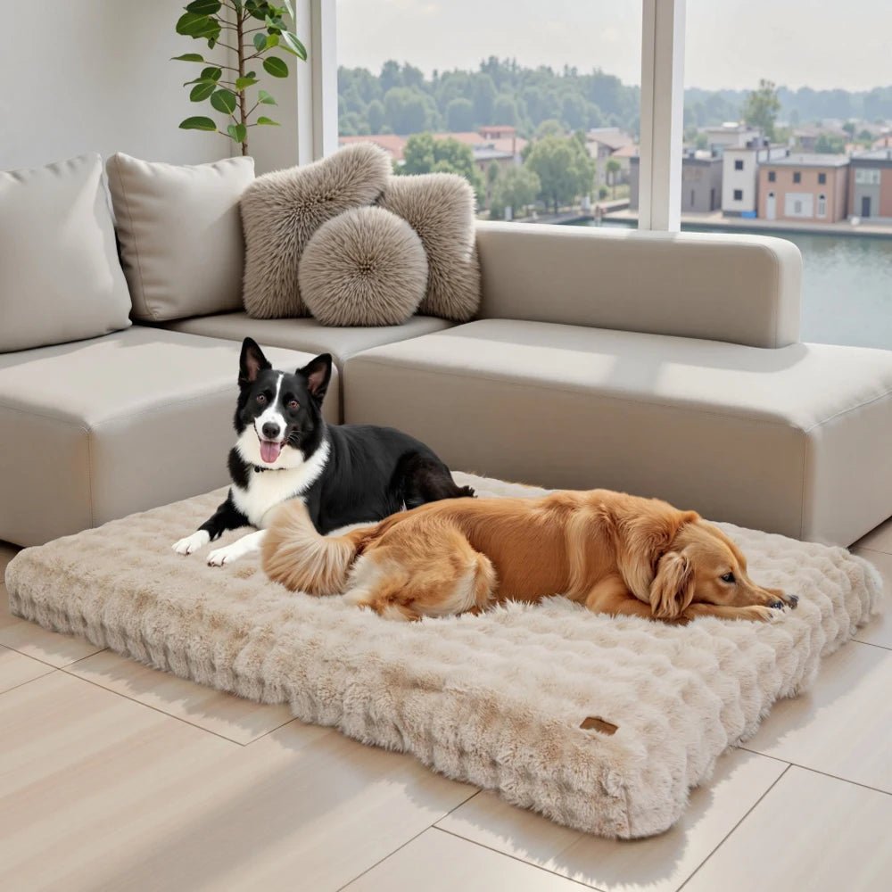 PAWLYTE Thick Plush Bed