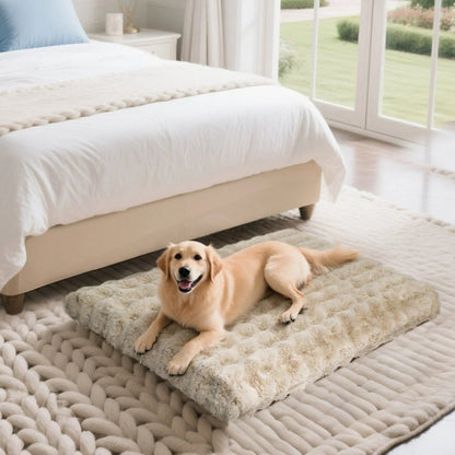 PAWLYTE Thick Plush Bed