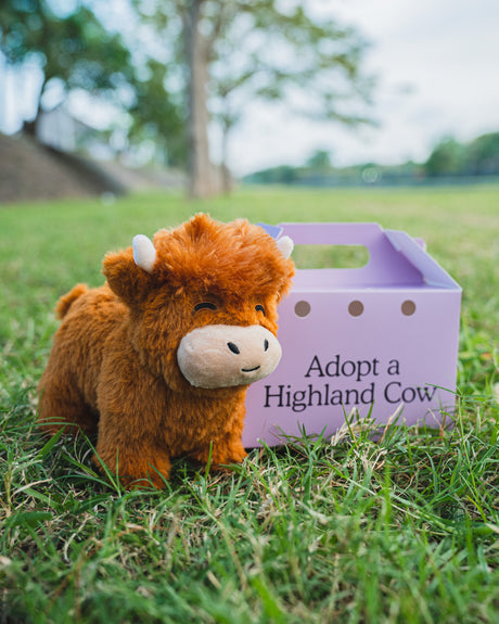 Highland Cow Plush Toy