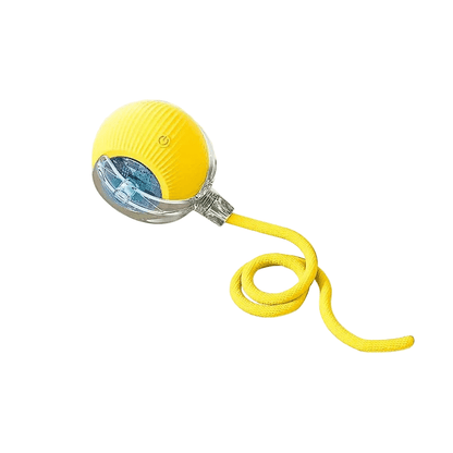 PLAYPET Interactive Dog Ball Rechargeable Bouncing Ball