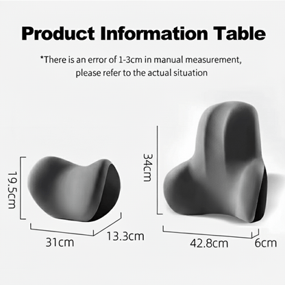 AUTOERGON Memory Foam Auto Neck & Lumbar Support