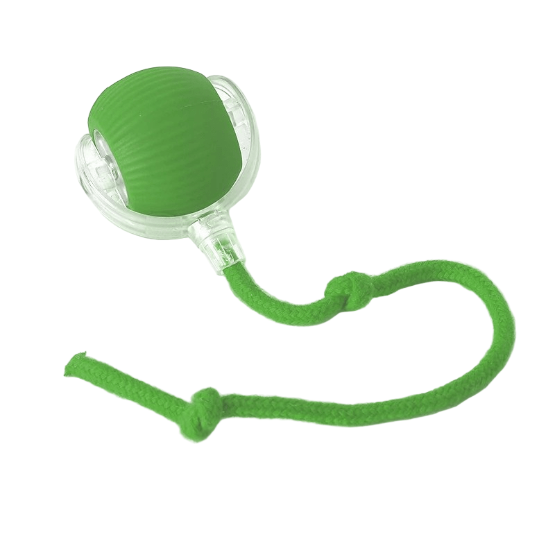 PLAYPET Interactive Dog Ball Rechargeable Bouncing Ball