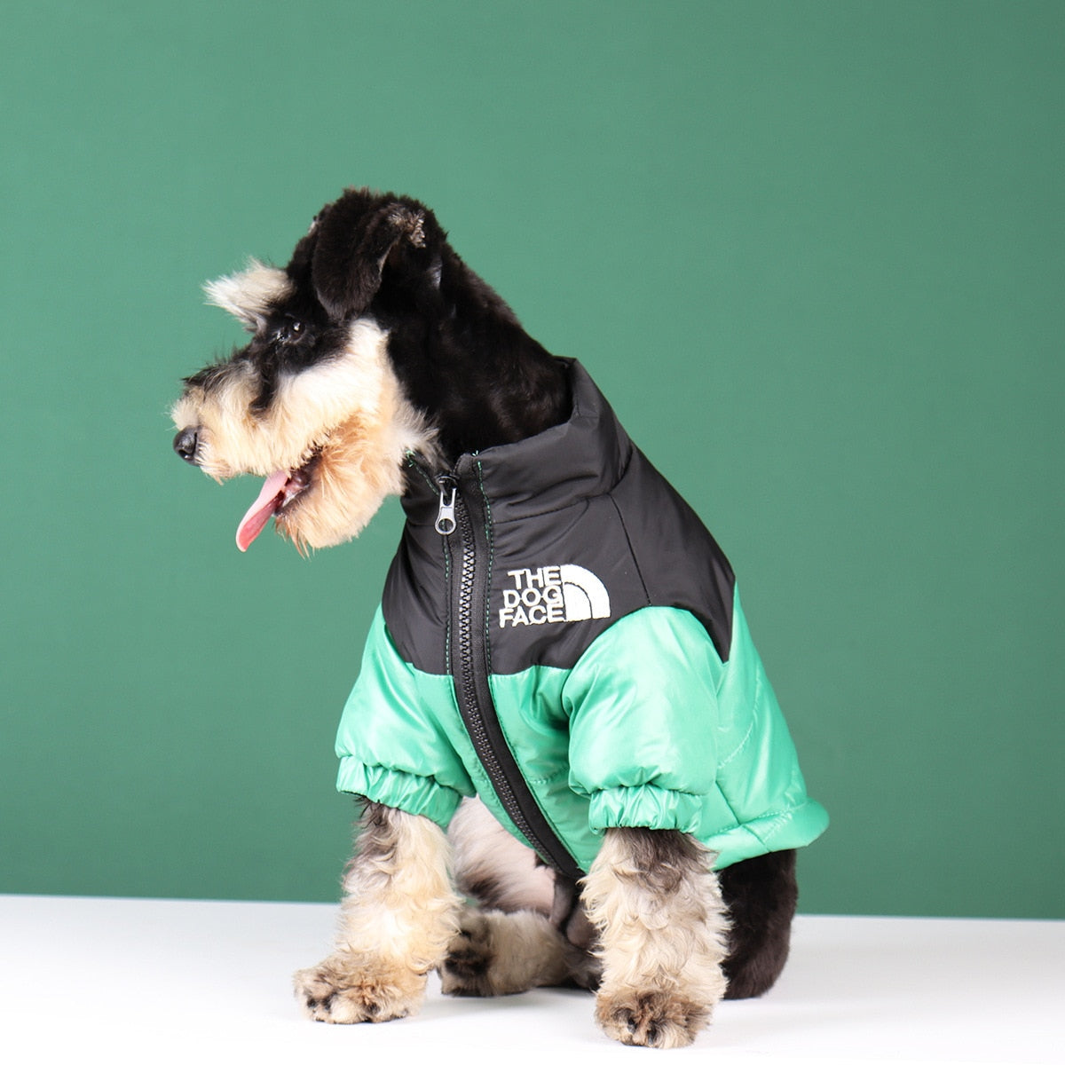 Dog Winter Jacket, Lined and Windproof