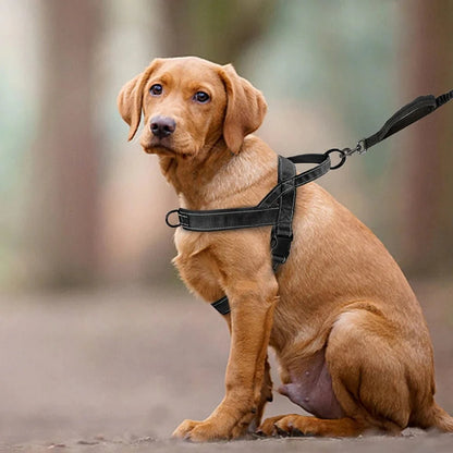 PAWGUARD Adjustable Reflective Dog Harness