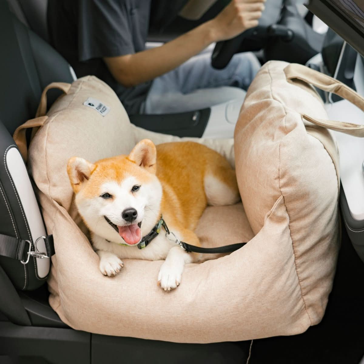 COMFYRIDE DOG SEAT Bed lifestyle image 3