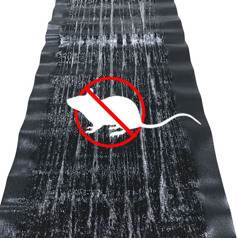 Non-Toxic Glue Pest Trap, Large Surface