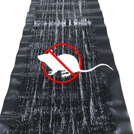 Non-Toxic Glue Pest Trap, Large Surface