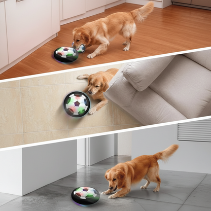 CHASESPARK Interactive Play Ball for Dogs