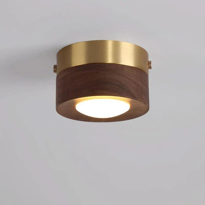 EMBERLED Energy-saving Walnut Light Solution