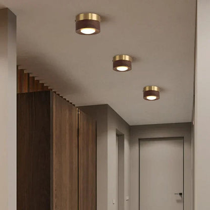 EMBERLED Energy-saving Walnut Light Solution